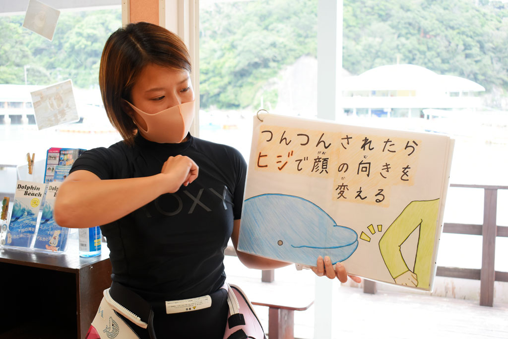 イルカがツンツンしてきたときの対応なども教えてくれます/下田海中水族館（静岡県／下田市）