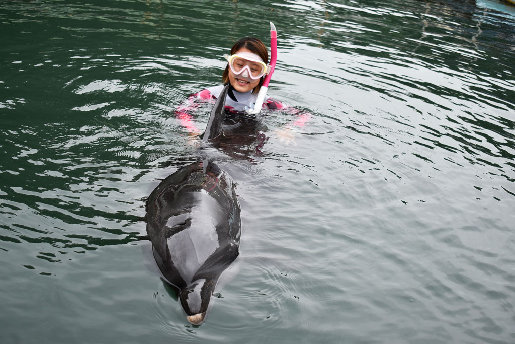水に入っても、スタッフの方が丁寧にアテンドしてくれるので安心/下田海中水族館（静岡県／下田市）