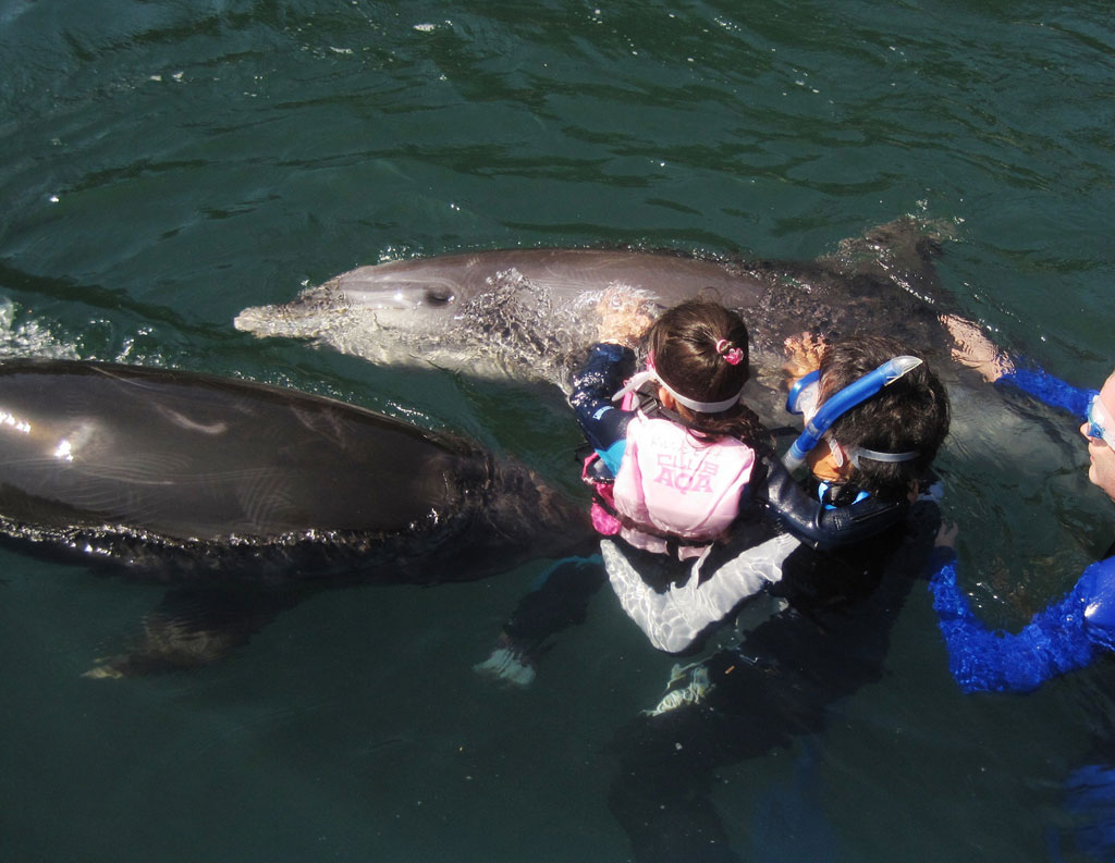 大人と一緒であれば小学校低学年も体験可能/下田海中水族館（静岡県／下田市）