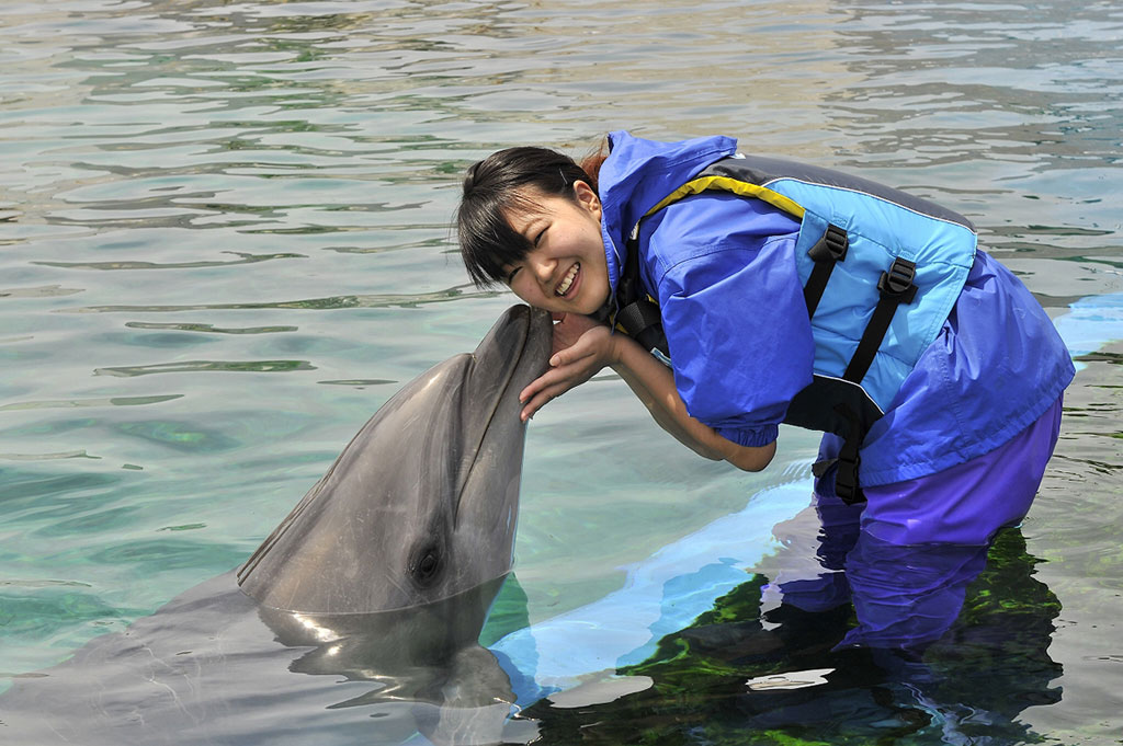 胴長を着用してイルカのトレーナーを目指して、健康チェックやトレーニングなどを学べる/横浜・八景島シーパラダイス（神奈川県／横浜市）