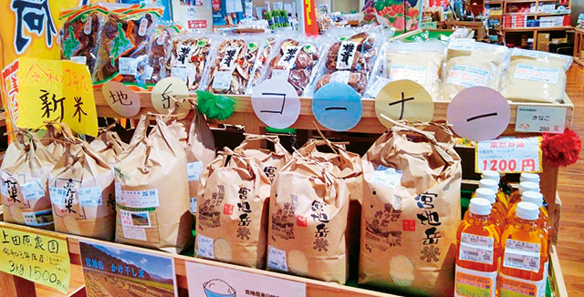 地場産品販売コーナー/道の駅 宮地岳かかしの里(熊本県/天草市)