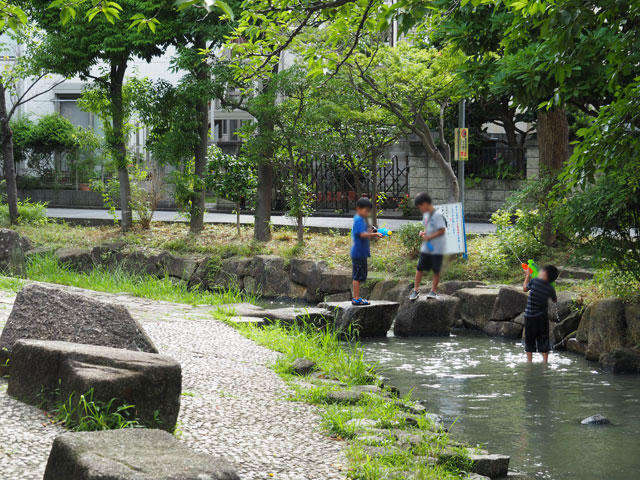 水てっぽうを持って行くのも楽しいですよ/小松川境川親水公園（東京都／江戸川区）