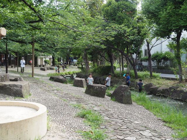 せせらぎ沿いに広がる緑に囲まれた公園は敷地も大きい/小松川境川親水公園（東京都／江戸川区）