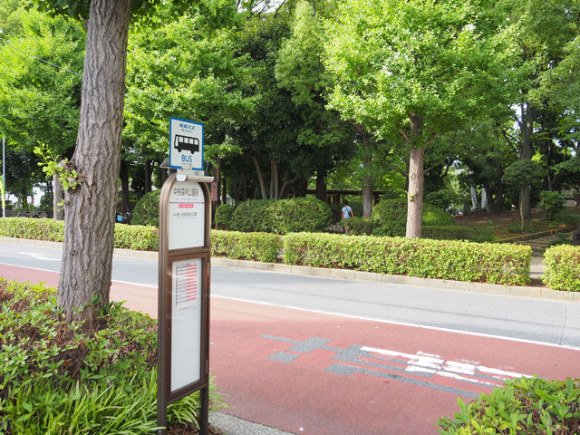 「中央森林公園」からさらに近い「中央森林公園前バス停」/小松川境川親水公園（東京都／江戸川区）