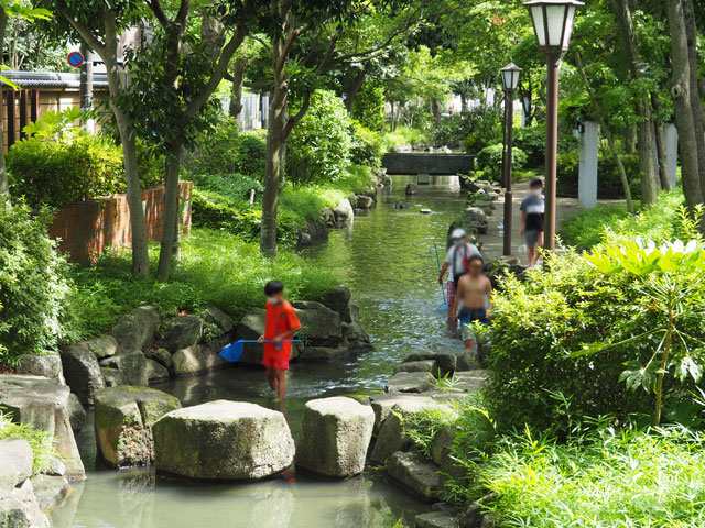 もっとも下流側のエリアでザリガニ取りができることでも知られています/小松川境川親水公園（東京都／江戸川区）