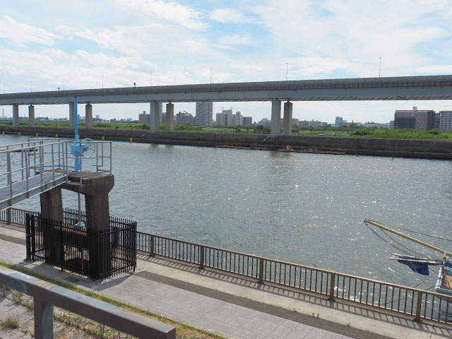 終着点の中川に流れ込んでゴール/小松川境川親水公園（東京都／江戸川区）