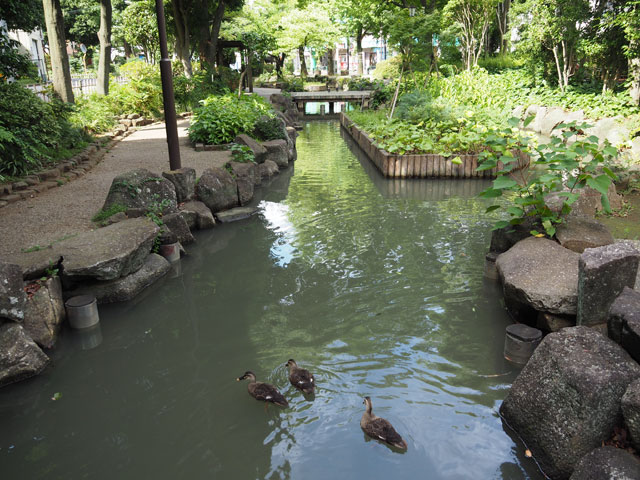 約4kmのせせらぎ沿いには滝や飛び石、吊り橋に遊具まで水遊びができるポイントが満載/小松川境川親水公園（東京都／江戸川区）