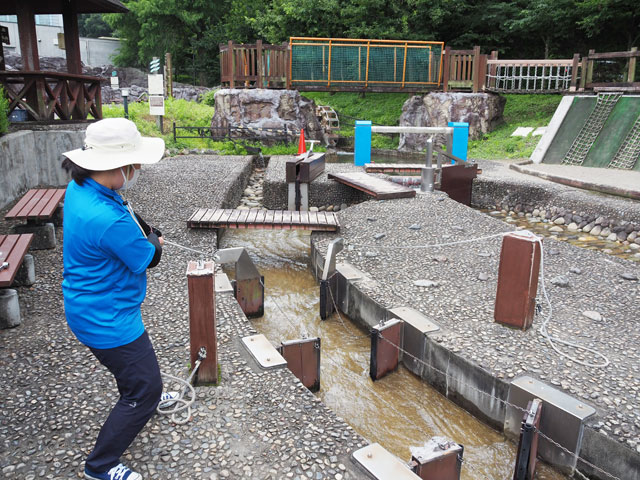 増水時に川の流れに対して垂直に動かすことで、流れを弱める効果がある横堤[よこてい]/埼玉県立川の博物館（埼玉県／寄居町）