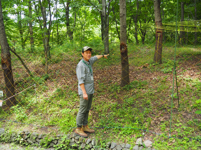 所要約1時間の「里山歩き」/月夜野きのこ園ぐんま昆虫の森・新里（群馬県／桐生市）