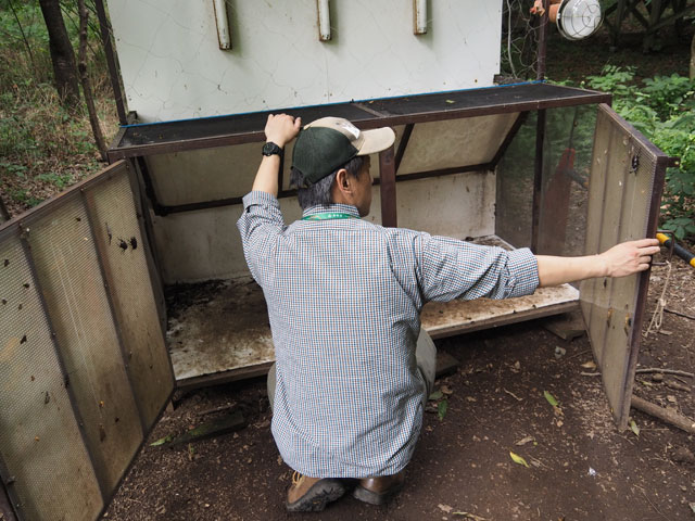 カゴを開けてくれると扉にくっついている！/月夜野きのこ園ぐんま昆虫の森・新里（群馬県／桐生市）