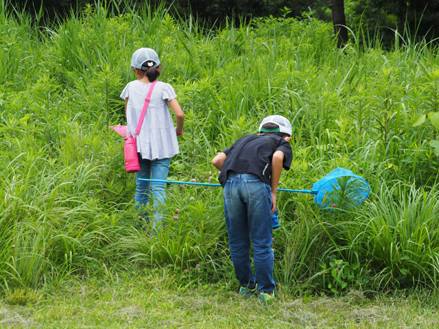 虫取り網で虫を取って観察後は自然に帰してあげるのがルール/月夜野きのこ園ぐんま昆虫の森・新里（群馬県／桐生市）