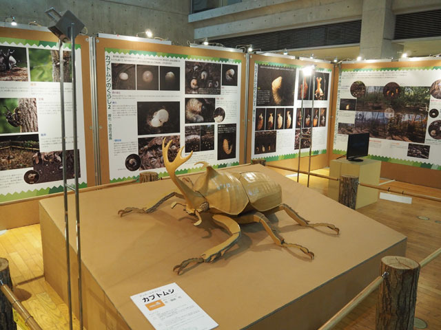 2022年夏は8月28日まで、カブト・クワガタ展も開かれています/月夜野きのこ園ぐんま昆虫の森・新里（群馬県／桐生市）