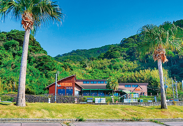 道の駅 根占(鹿児島県/南大隅町)