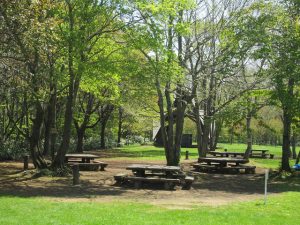 札幌・江別・小樽周辺の日帰りバーベキュー&キャンプ場7選（無料・川遊びなど）