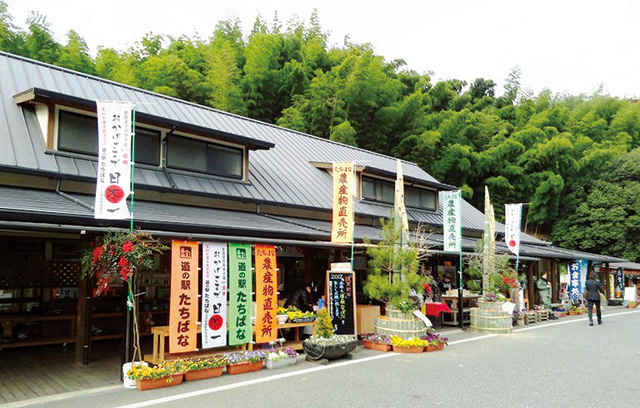 道の駅 たちばな(福岡県/八女市)