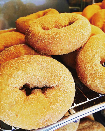 ドーナツ/道の駅 阿久根(鹿児島県/阿久根市)