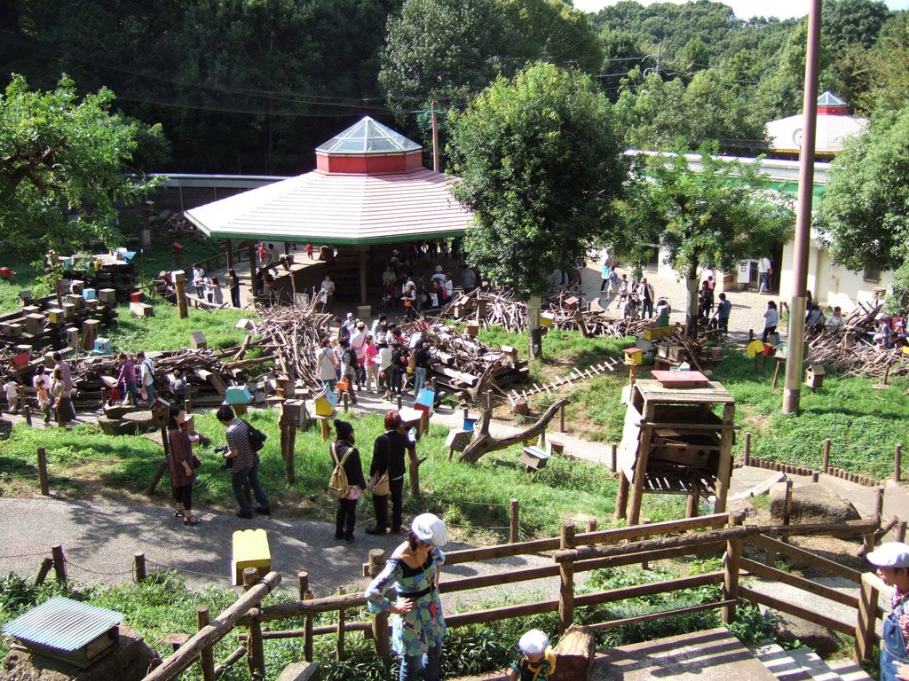屋外にあるリスの放し飼い場/町田リス園(東京都/町田市)