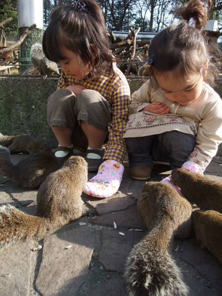 リスのエサを購入すると、一緒にミトンも借りられる/町田リス園(東京都/町田市)