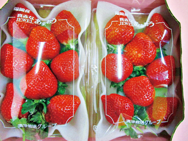 イチゴ/里の駅 広川くだもの村（福岡県／広川町）