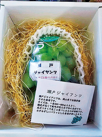 瀬戸ジャイアンツ/里の駅 広川くだもの村（福岡県／広川町）