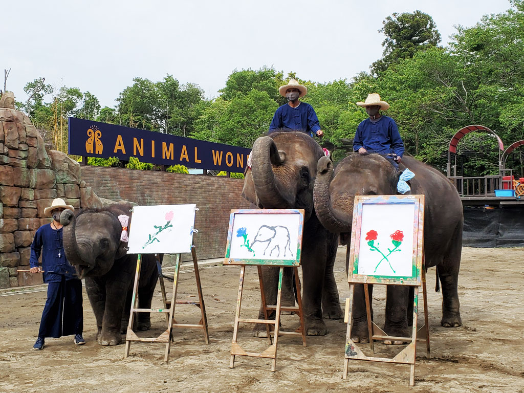 お絵描きなどのパフォーマンスを披露/アンマルワンダーリゾウト 市原ぞうの国（千葉県／市原市）