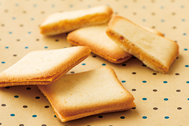 マンゴーラングドシャ/九州自動車道 えびのPA上り下り(宮崎県)