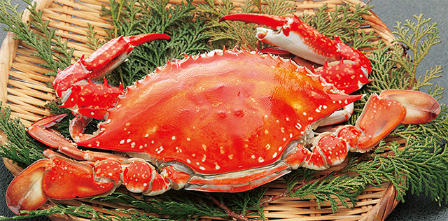 竹崎カニ/道の駅 太良（佐賀県／太良町）