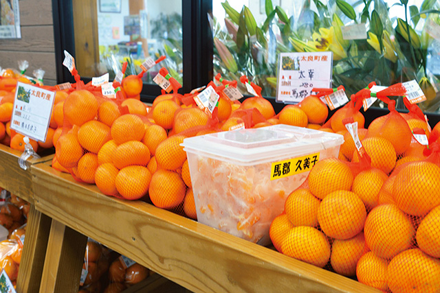ミカンコーナー/道の駅 太良（佐賀県／太良町）