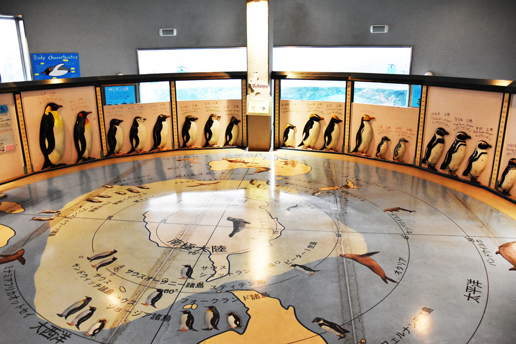 旭川市旭山動物園の「ぺんぎん館」