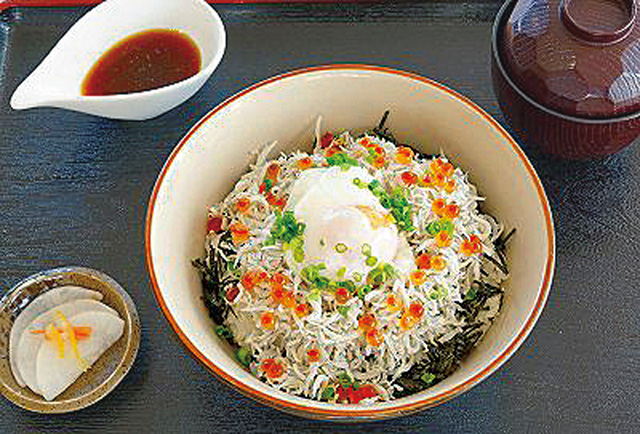 釜揚げシラス丼定食/道の駅 なかつ（大分県／中津市）
