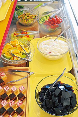 バイキング/道の駅 えびの(宮崎県/えびの市)