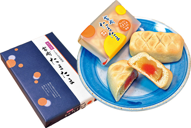 宮崎たまたま/道の駅 えびの(宮崎県/えびの市)