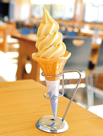 えびの完熟金柑ソフト/道の駅 えびの(宮崎県/えびの市)