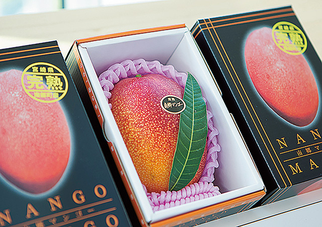 完熟南郷マンゴー/道の駅 なんごう(宮崎県/日南市)