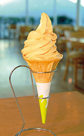 びわソフト/道の駅 たるみず 湯っ足り館（鹿児島県／垂水市）