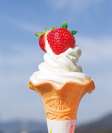 生いちごソフト/道の駅 筑前みなみの里（福岡県／筑前町）