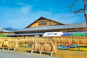 道の駅 筑前みなみの里は食べて遊んで散歩できる自然が豊かな道の駅