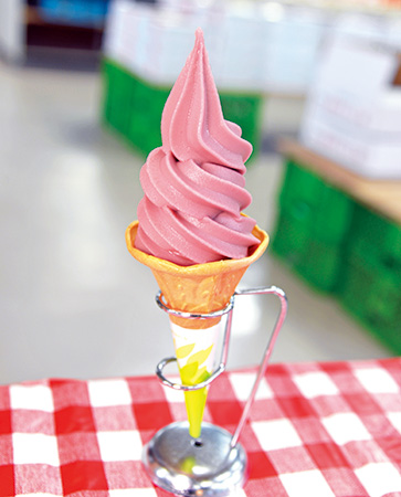 巨峰/道の駅 原鶴 ファームステーションバサロ(福岡県/朝倉市)