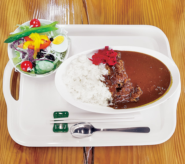 茶房オリジナルカレー/道の駅 人吉 人吉 クラフトパーク石野公園(熊本県/人吉市)