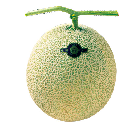 アールスメロン/道の駅 七城メロンドーム（熊本県／菊池市）