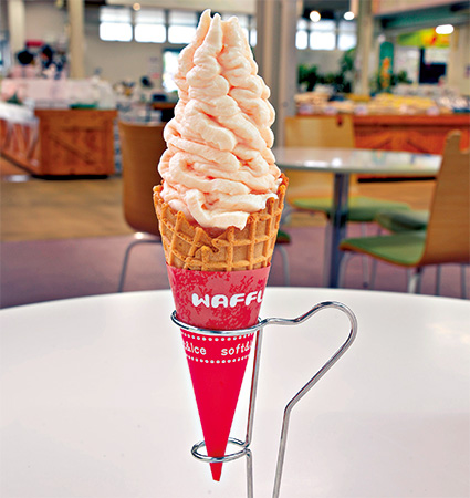 メロンソフト（赤メロン）/道の駅 七城メロンドーム（熊本県／菊池市）