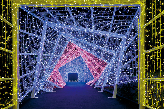 シナスタジアヒルズ/GRAX PREMIUM CAMP RESORT 京都 るり渓(京都府/南丹市)