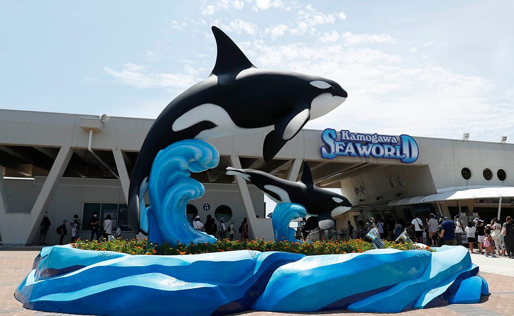 鴨川シーワールドのシャチモニュメントがリニューアル！親子で泳ぐ姿が