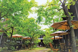 みかんの里の小学校「秋津野ガルテン」で農業やお菓子作りを体験