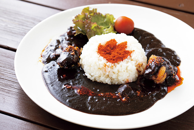 オリジナルフードのカレー/兵庫県立淡路島公園 アニメパーク ニジゲンノモリ ゴジラ迎撃作戦（兵庫県/淡路市）