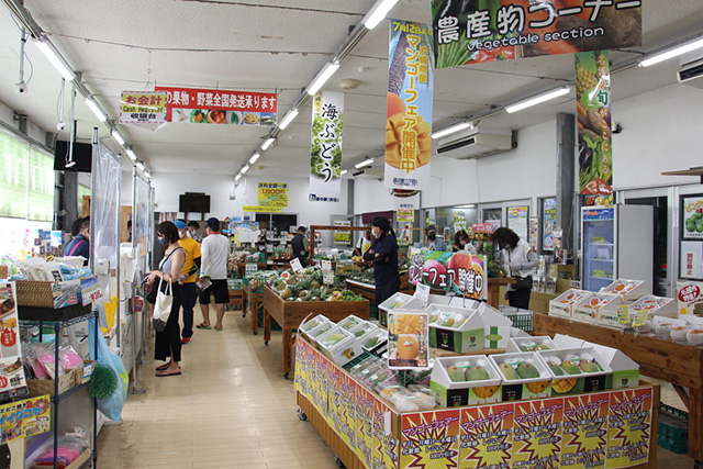 農産物コーナー/やんばる物産センター(沖縄県/名護市)