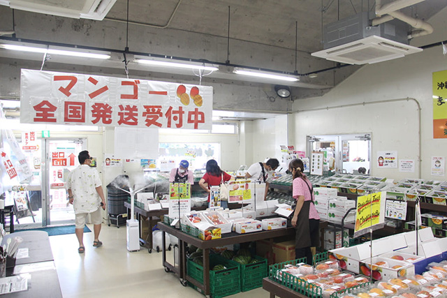 旬のフルーツや農産物が揃う/おんなの駅なかゆくい市場(沖縄県/恩納村)
