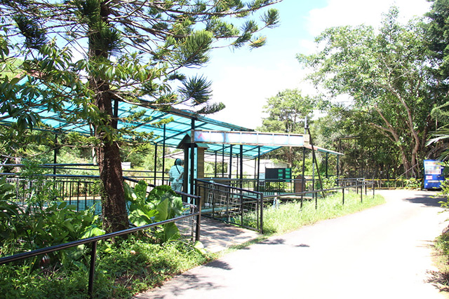 園内はバリアフリー/ネオパークオキナワ(沖縄県/名護市)