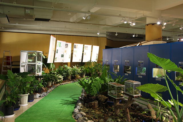 「やんばるの森コーナー」/ネオパークオキナワ(沖縄県/名護市)