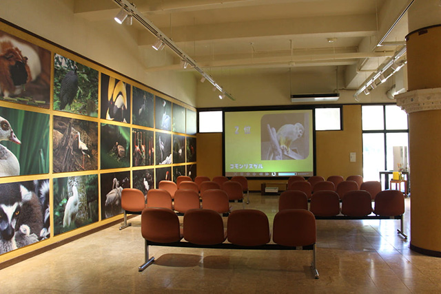 「やんばるの森コーナー」/ネオパークオキナワ(沖縄県/名護市)